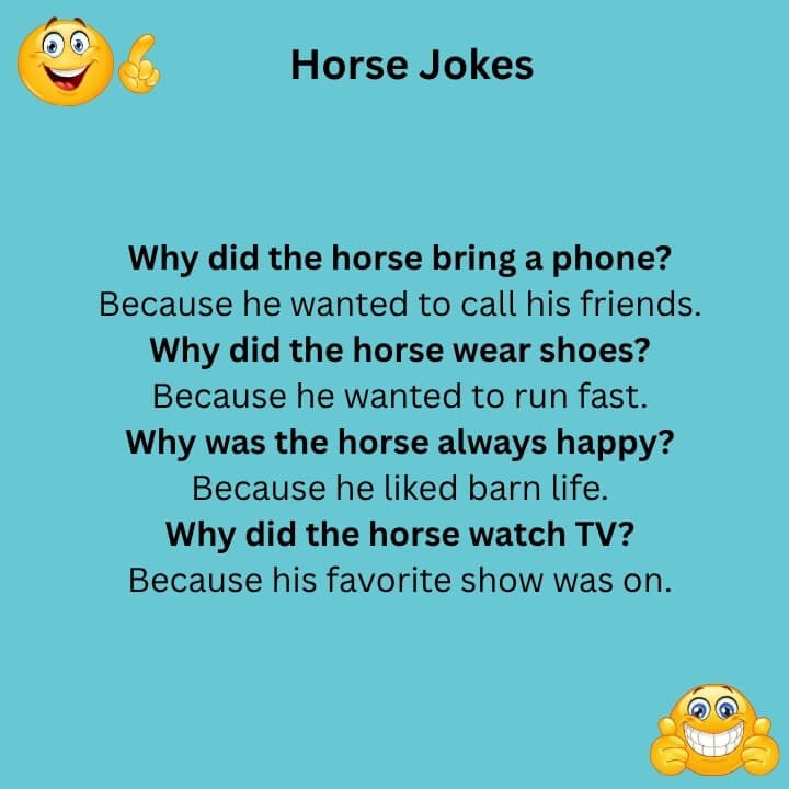 Horse Jokes Funny