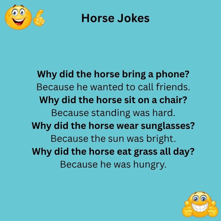 Horse Jokes One Liners