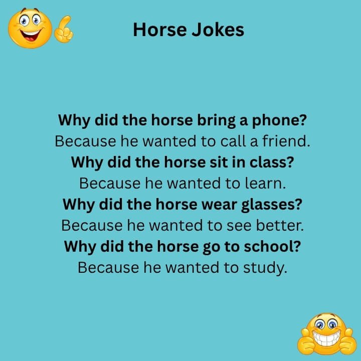 One Liner Horse Jokes