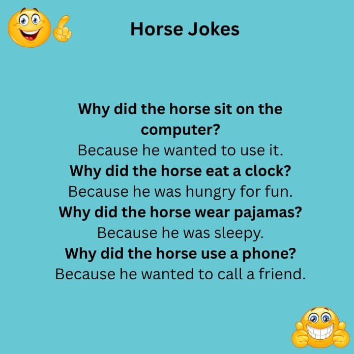Silly Horse Jokes