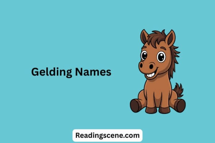 Gelding Names