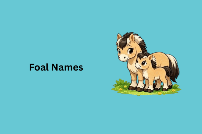 Foal Names