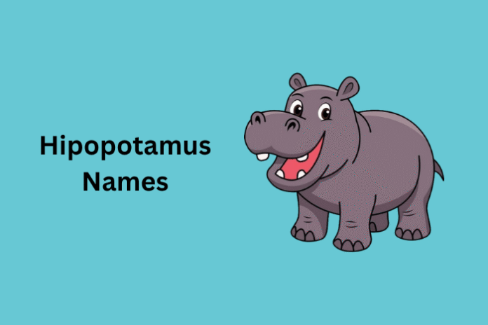 Hipopotamus Names Hipopotamus Names