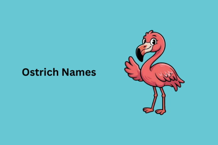 Ostrich Names Ostrich Names