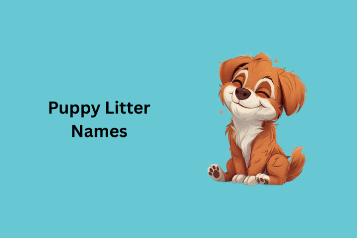 Puppy Litter Names Puppy Litter Names