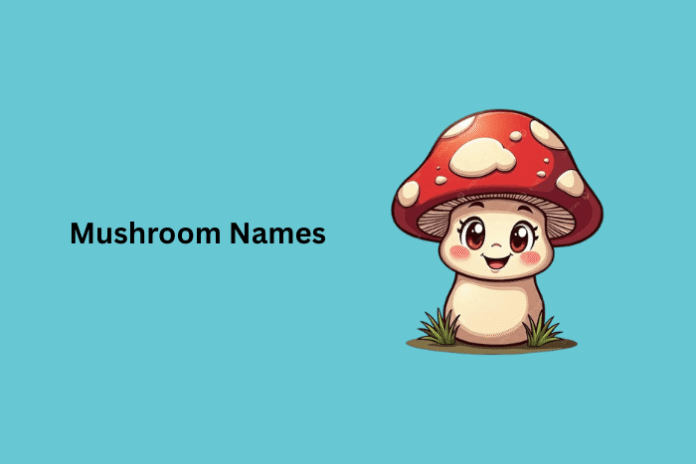 Mushroom Names