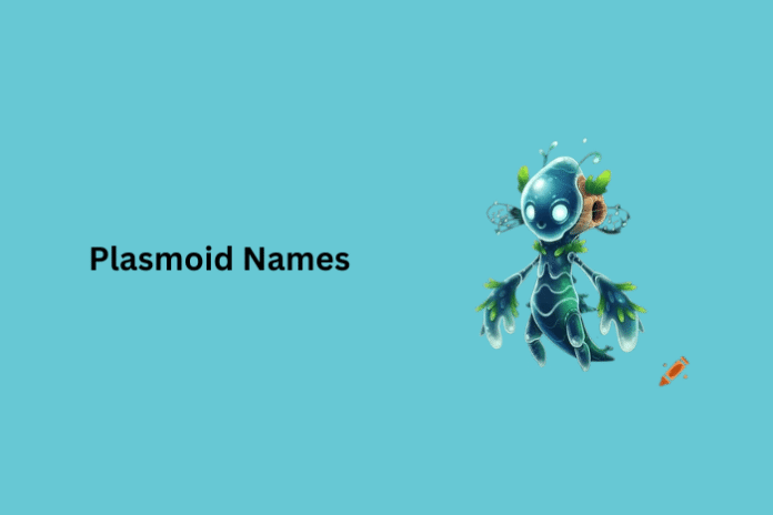 Plasmoid Names Plasmoid Names